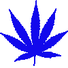 Juicy Fields - Legal Cannabis Crowdgrowing