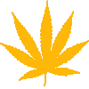 Juicy Fields - Legal Cannabis Crowdgrowing