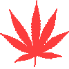 Juicy Fields - Legal Cannabis Crowdgrowing