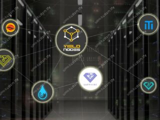 yieldnodes yield nodes einzahlung auszahlung