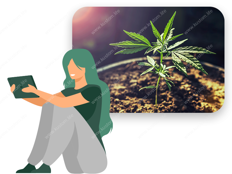 egrowing und crowdgrowing aus Österreich mit MyfirstPlant